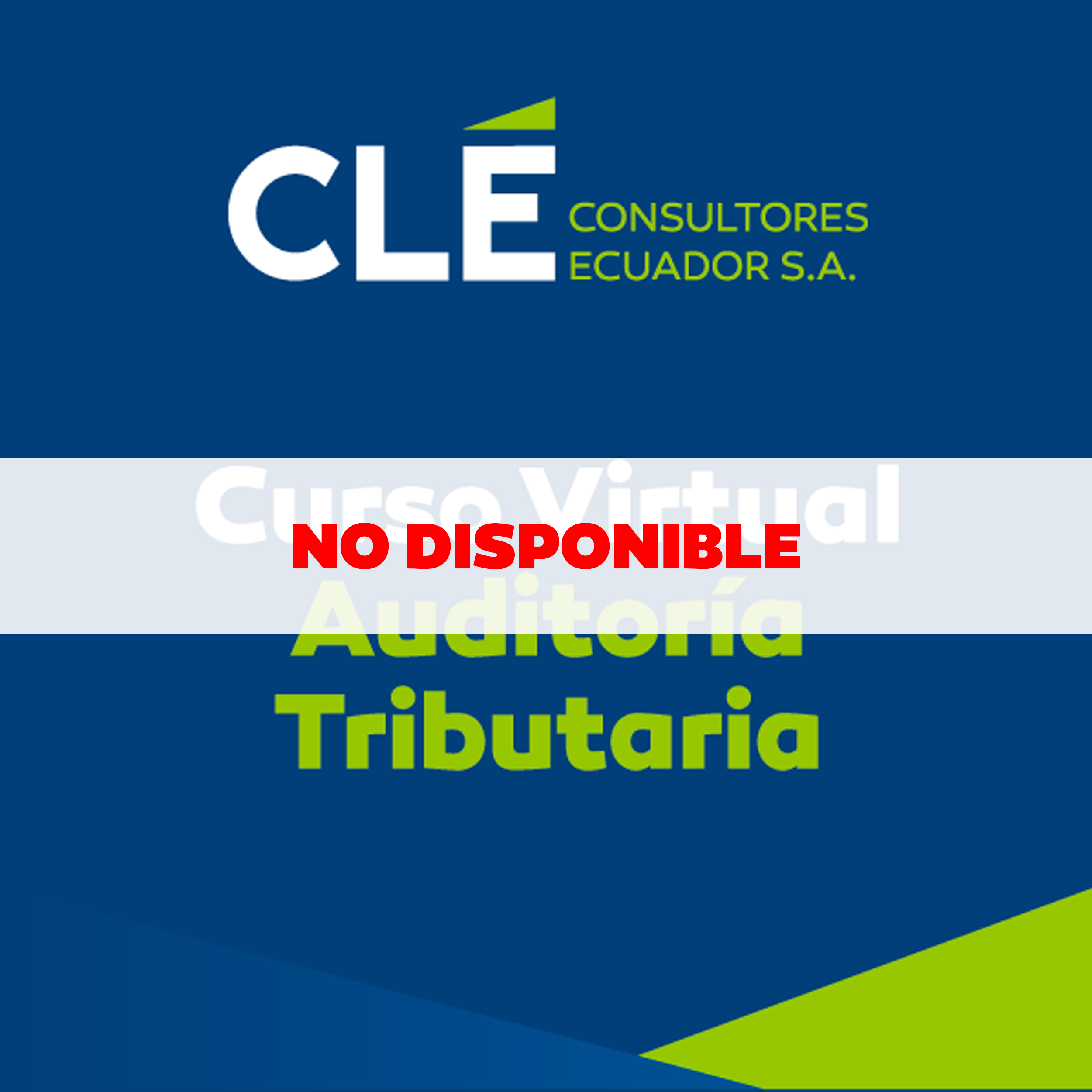CURSO AUDITORIA T-NO DISPONIBLE